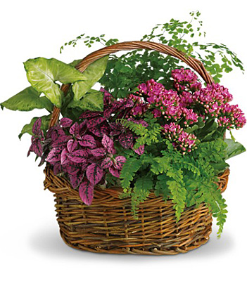 Secret Garden Basket